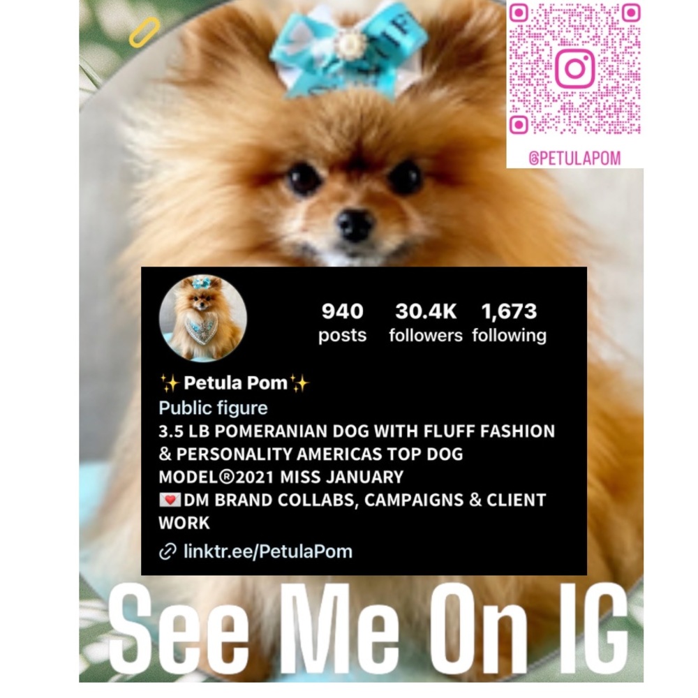 Follow my IG account💗 @petulapom